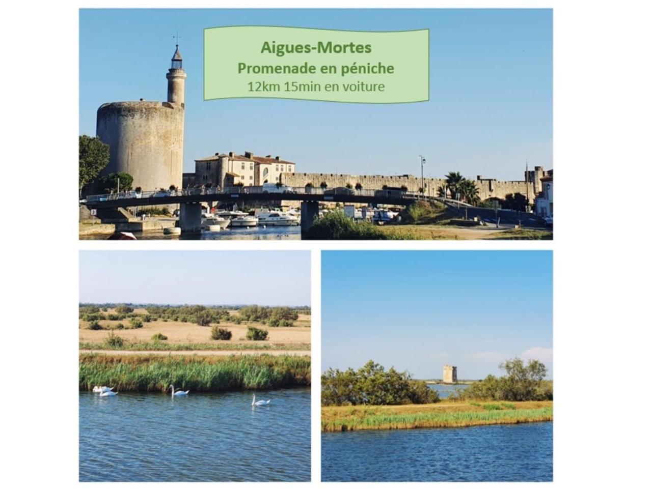 T2 Traversant Familial Cap Sud Parking Plages - Rossiconciergerie - Linge En Option La Grande Motte Exterior photo